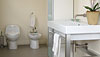 Sink and toilet fixtures