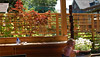 View of custom cedar fence with plantings