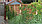 View deck project 2