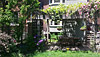 Yard prior to redesign project